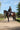 EQUIDRY women's long waterproof horse riding coat in rich brown/cream modelled by rider on horseback