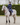 Women's Bronte Riding Coat | Navy Blue