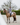 Women's Bronte Riding Coat | Grey
