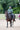EQUIDRY men's waterproof short blouson style horse riding jacket in black forest green shown on horse