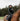 Women's Bronte Riding Coat | Removable Hood | Black