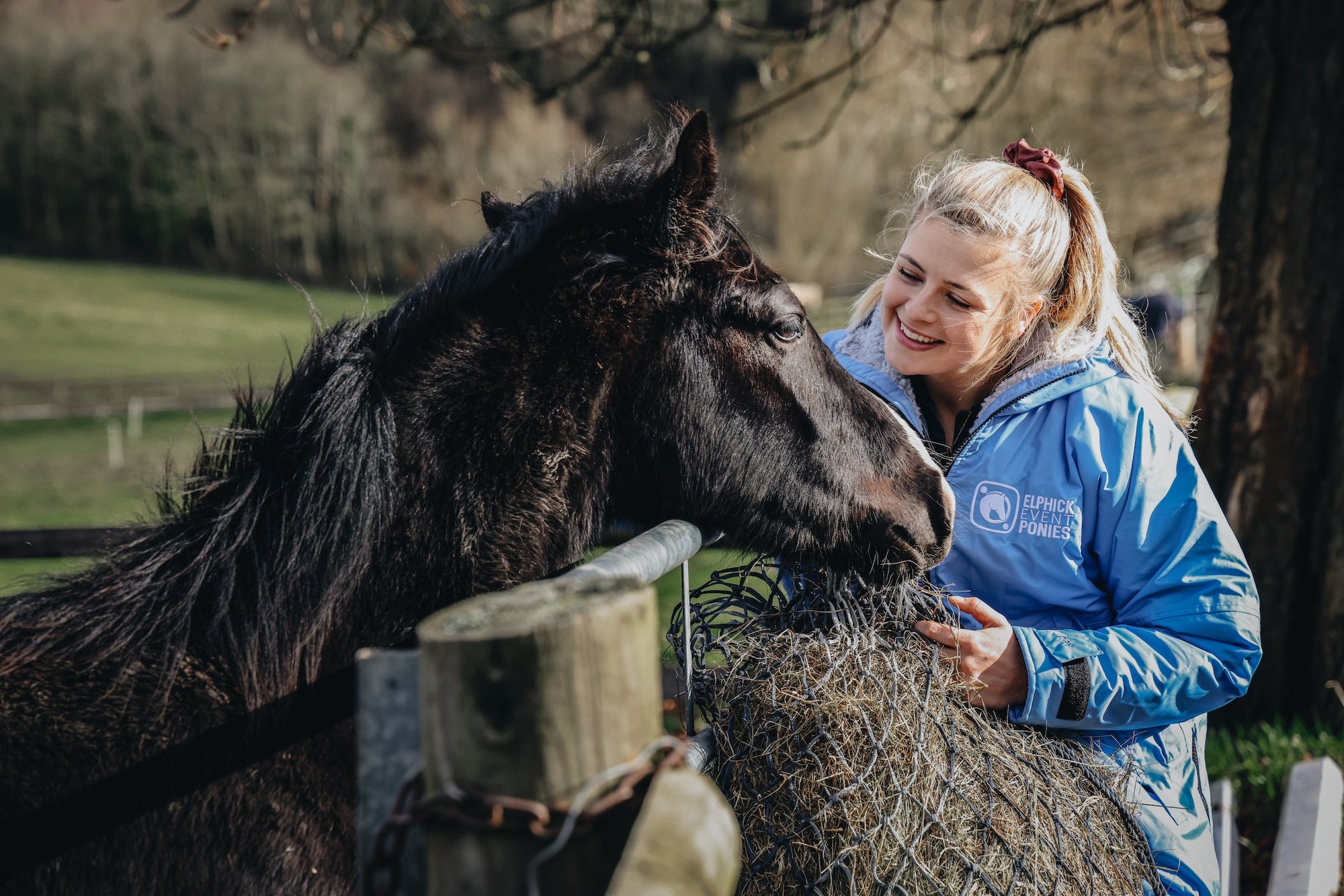 Elphick Event Ponies