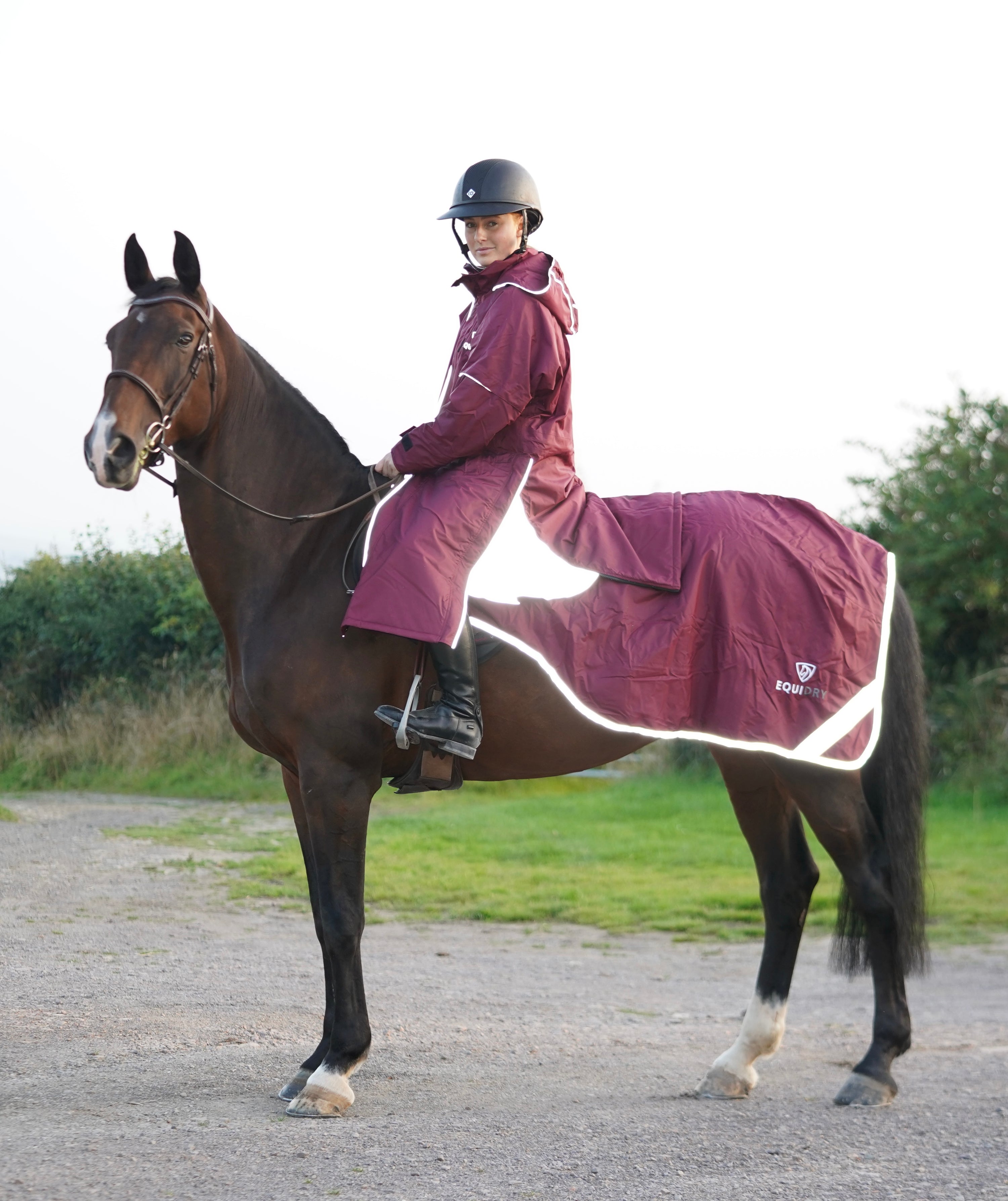 EQUIDRY | Reflective Pro Ride Evolution Lite  | Plum