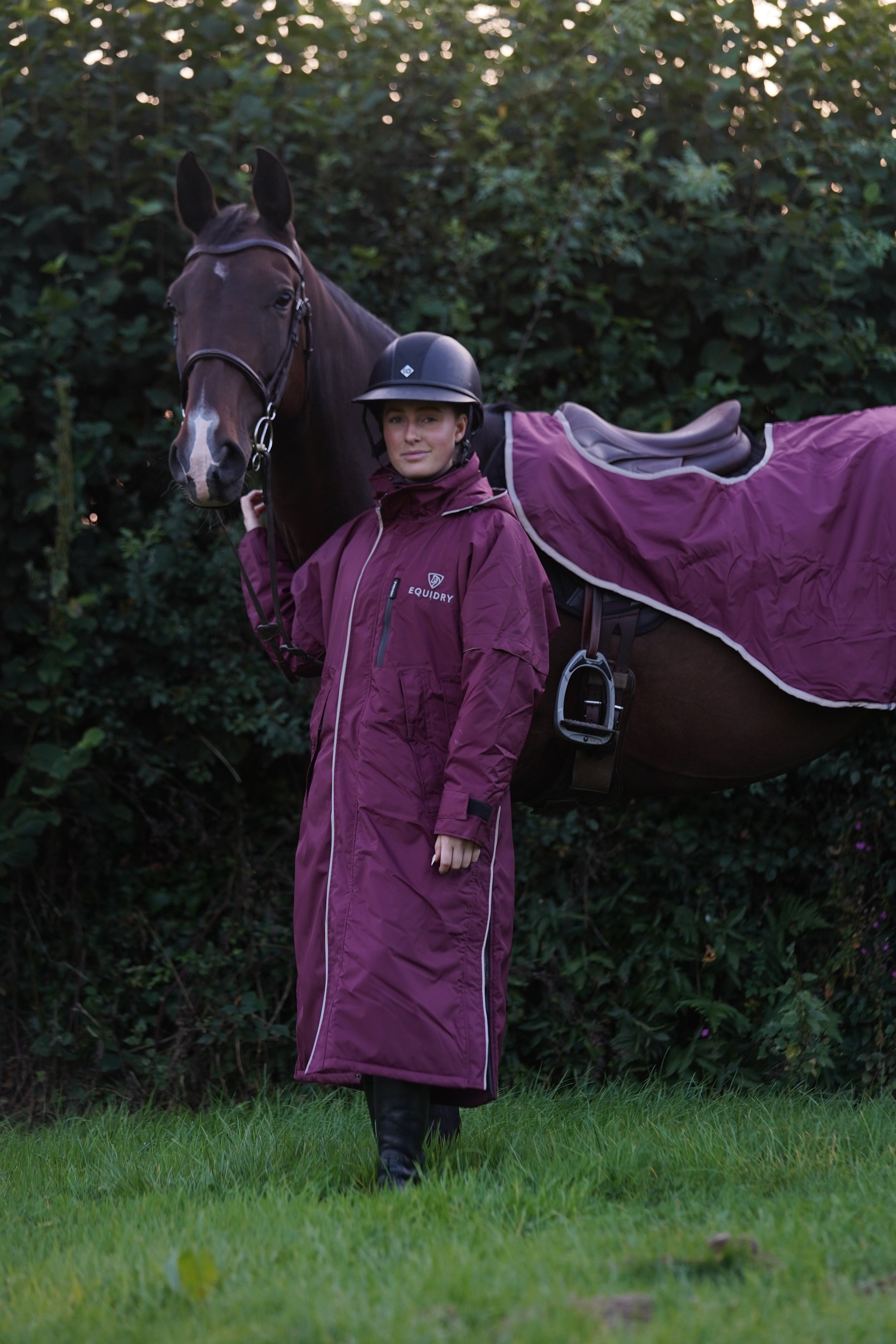 EQUIDRY | Reflective Pro Ride Evolution Lite  | Plum