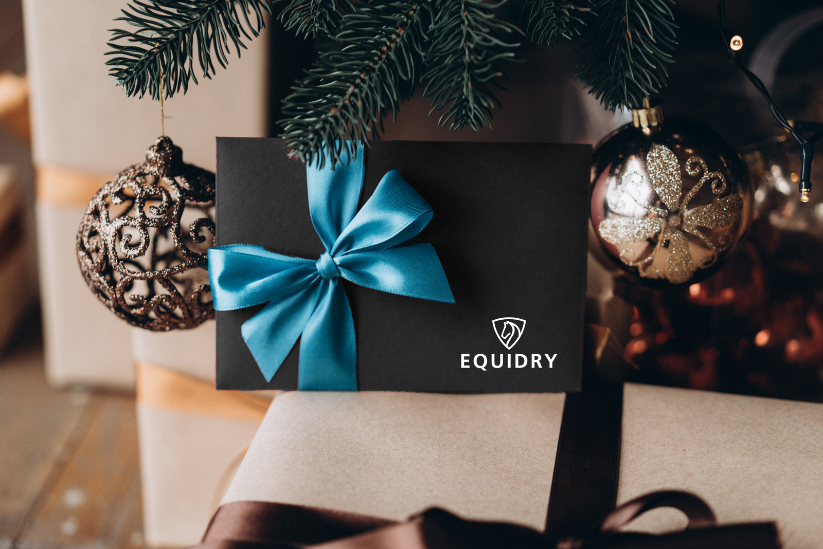 EQUIDRY | Digital E-Voucher - EQUIDRY