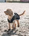 EQUIDRY | Dog Coat | Black/Grey - EQUIDRY