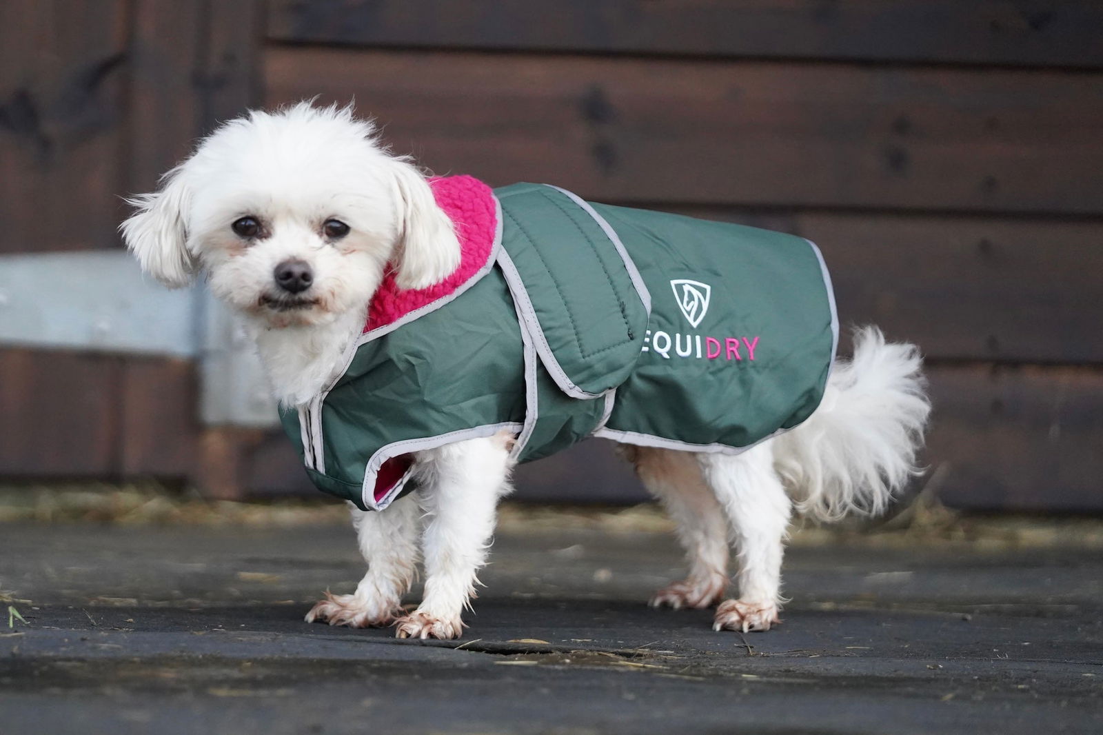 EQUIDRY | Dog Coat | Black Forest Green/Peacock Pink - EQUIDRY