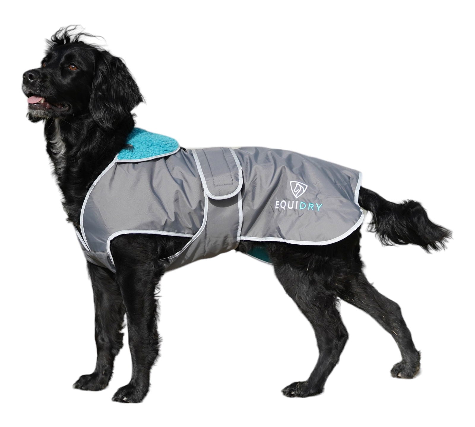 EQUIDRY | Dog Coat | Charcoal/Turquoise - EQUIDRY