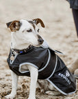 EQUIDRY | Dog Coat | Black/Grey