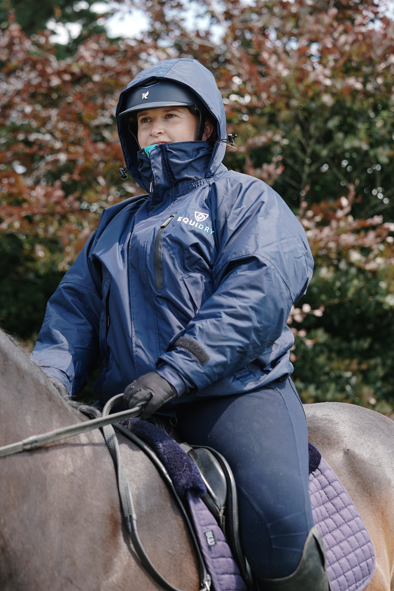 EQUIDRY women's waterproof short blouson style horse riding jacket in navy/turquoise on horse 